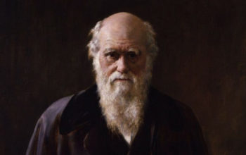 Imagen de internet de Charles Darwin