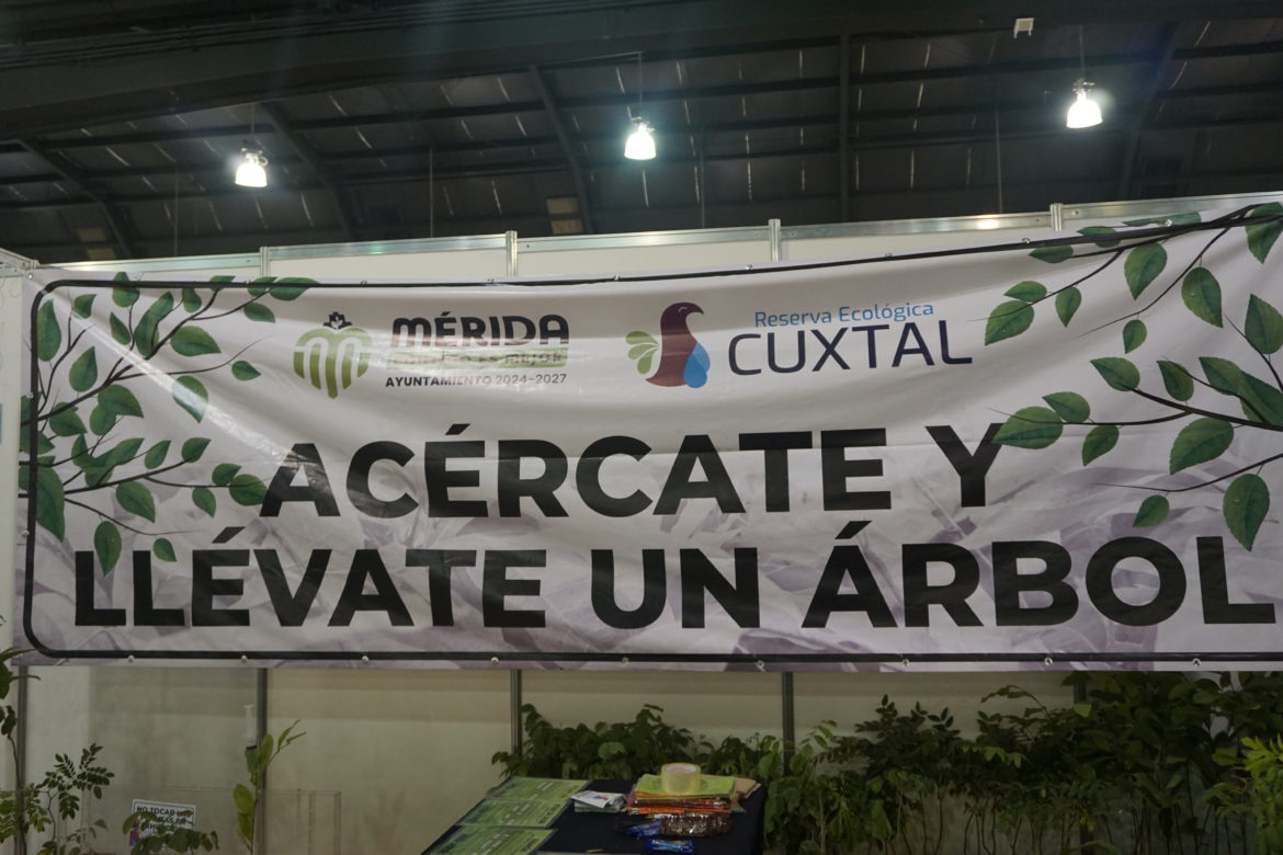 FILEY, un refugio natural: La Reserva Ecológica Cuxtal