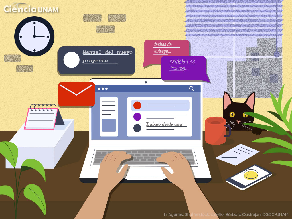 El impacto del «home office» en la productividad.