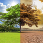 cambio climático