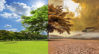 cambio climático